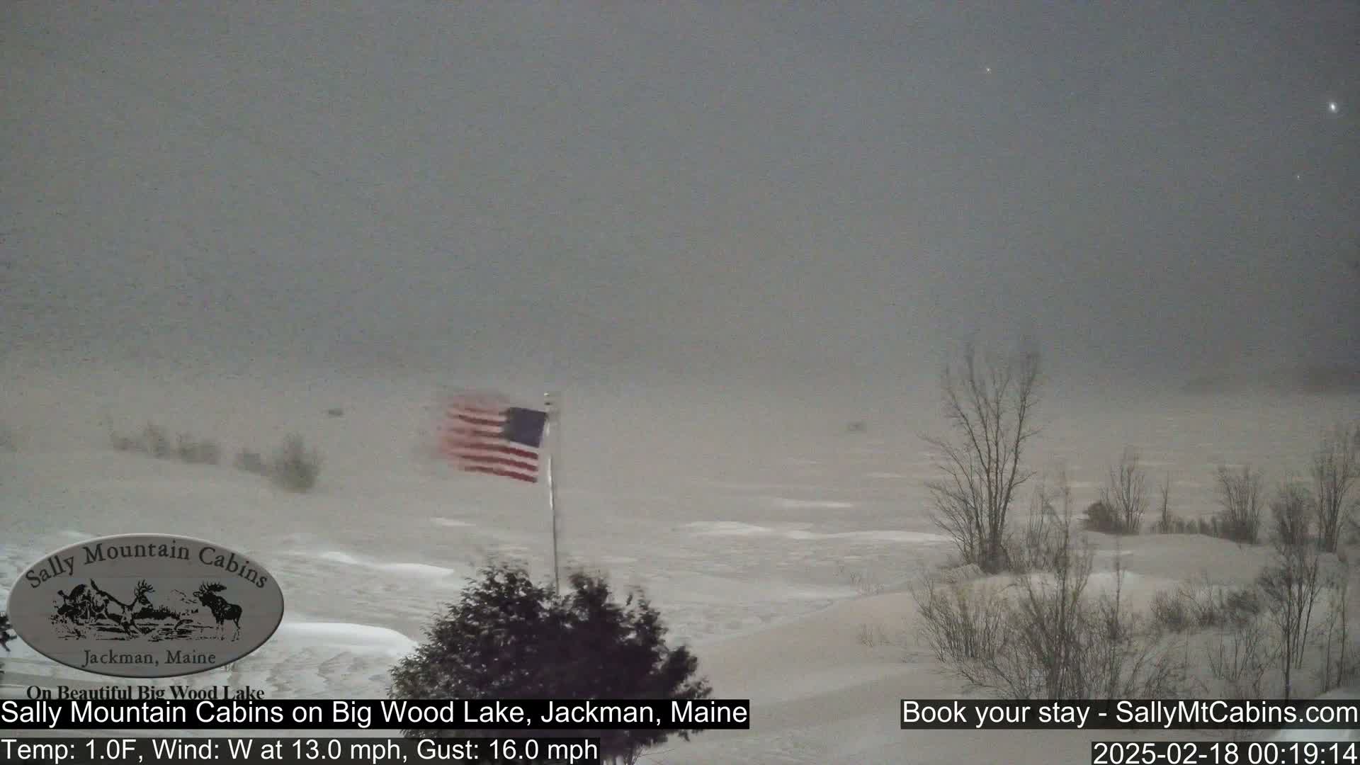 A snow-covered landscape with a partially frozen lake is visible under a gray, overcast sky; a small American flag is waving in the wind.