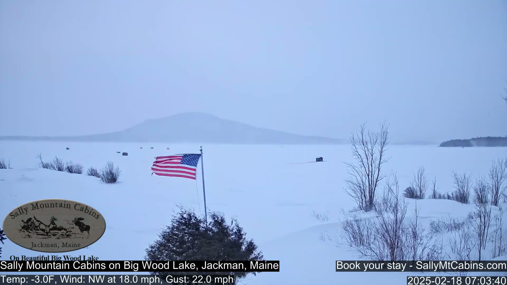 A snow-covered frozen lake stretches to a distant, hazy mountain range under an overcast sky, with an American flag waving near the foreground, and bare, snow-covered trees and shrubs lining the shore.