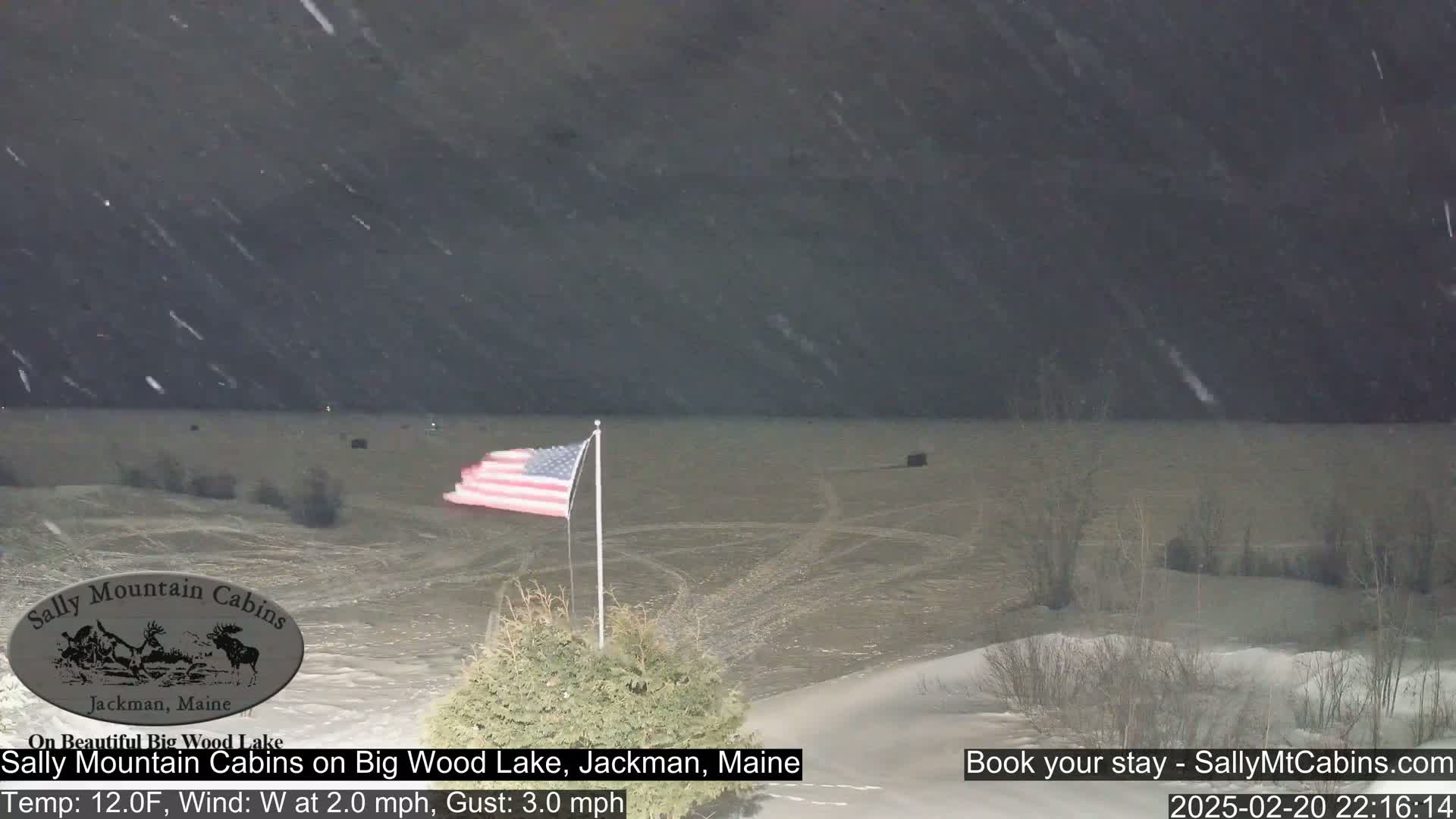An American flag waves near a snow-covered shoreline during a snowfall at night.