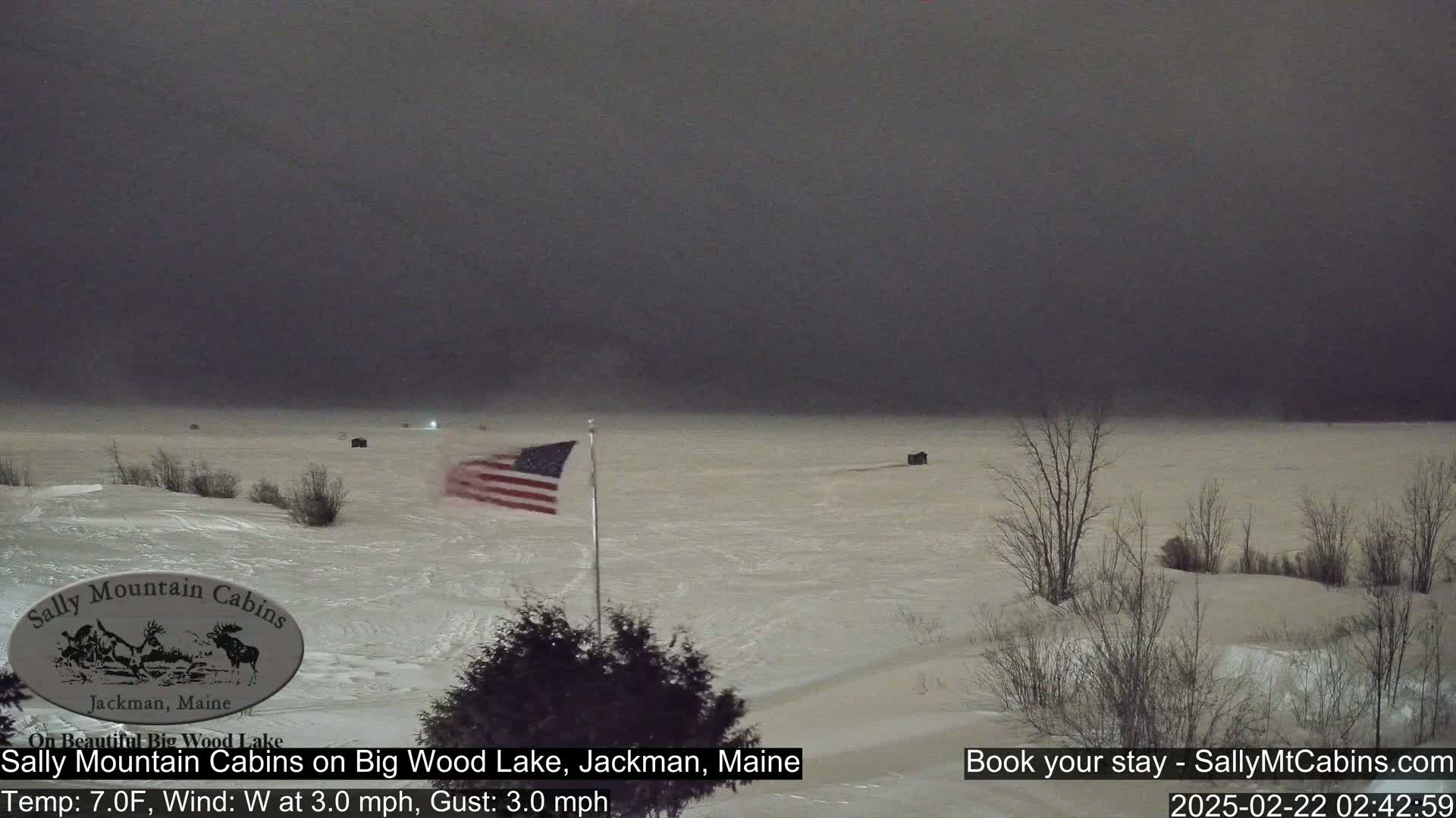 A snow-covered frozen lake is visible under a dark, overcast night sky, with a few bare trees and a small American flag in the foreground.