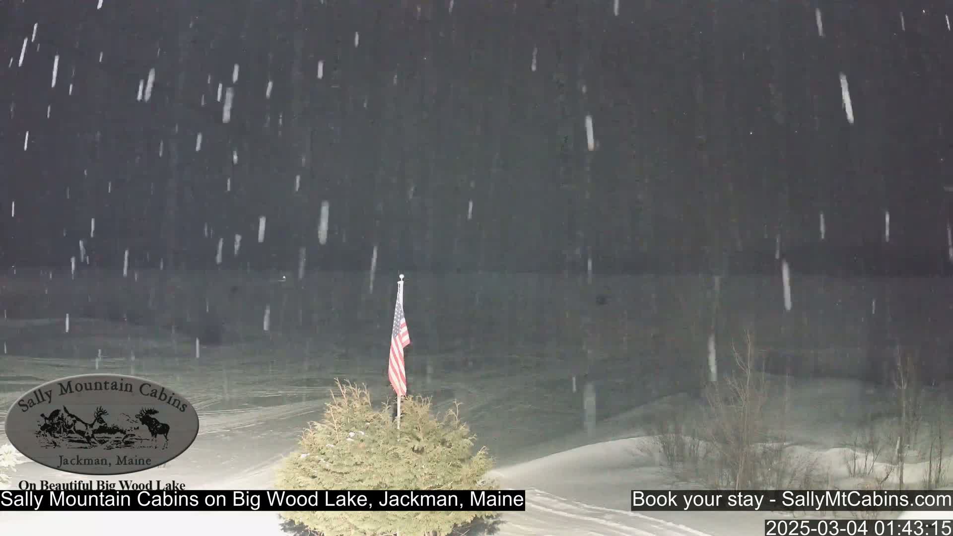 A nighttime snowstorm falls over a snow-covered landscape, where an American flag stands on a small evergreen tree.