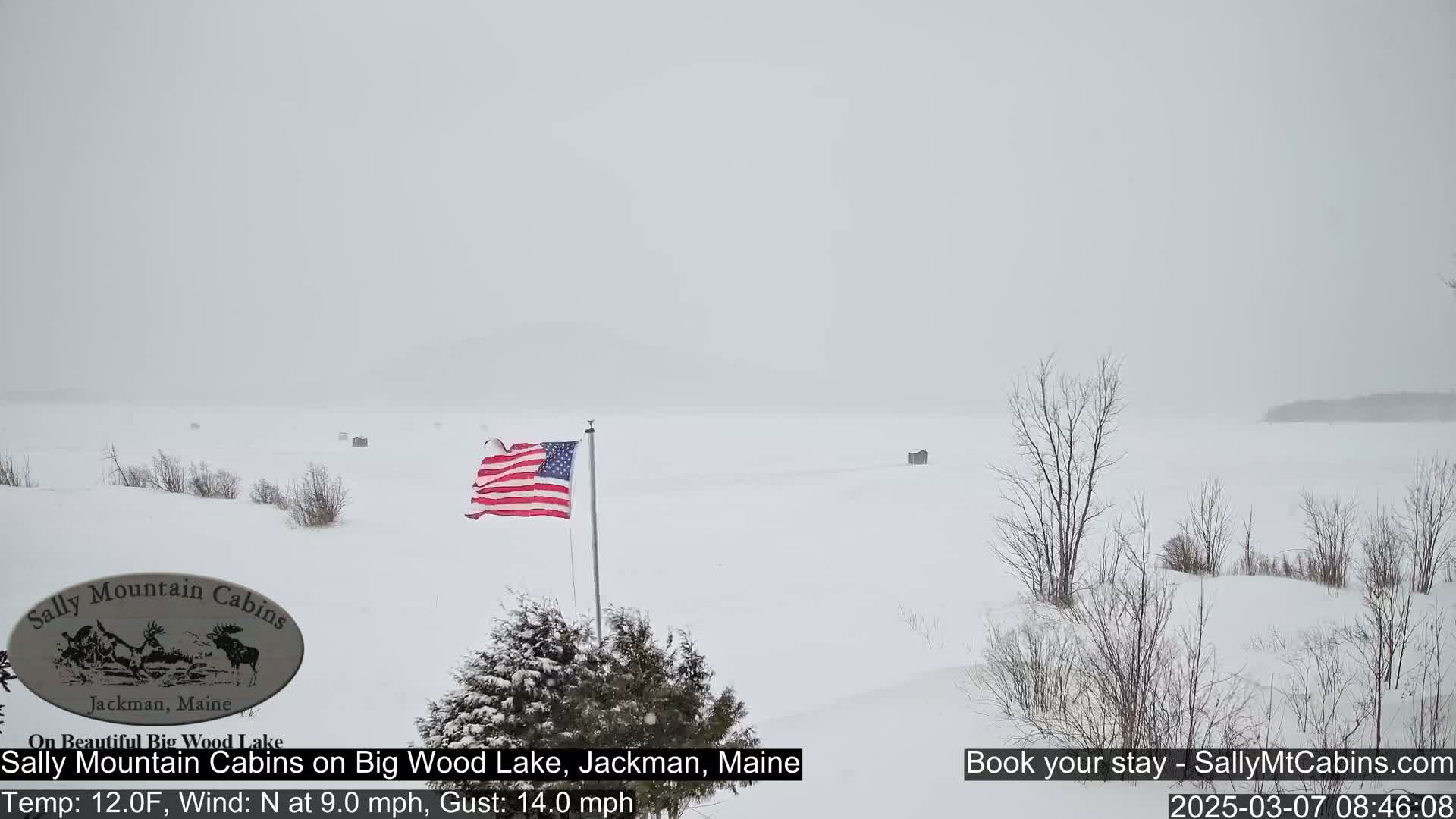 A snow-covered, frozen lake stretches to a hazy horizon under a snowy sky, with a lone American flag waving near some snow-covered bushes.