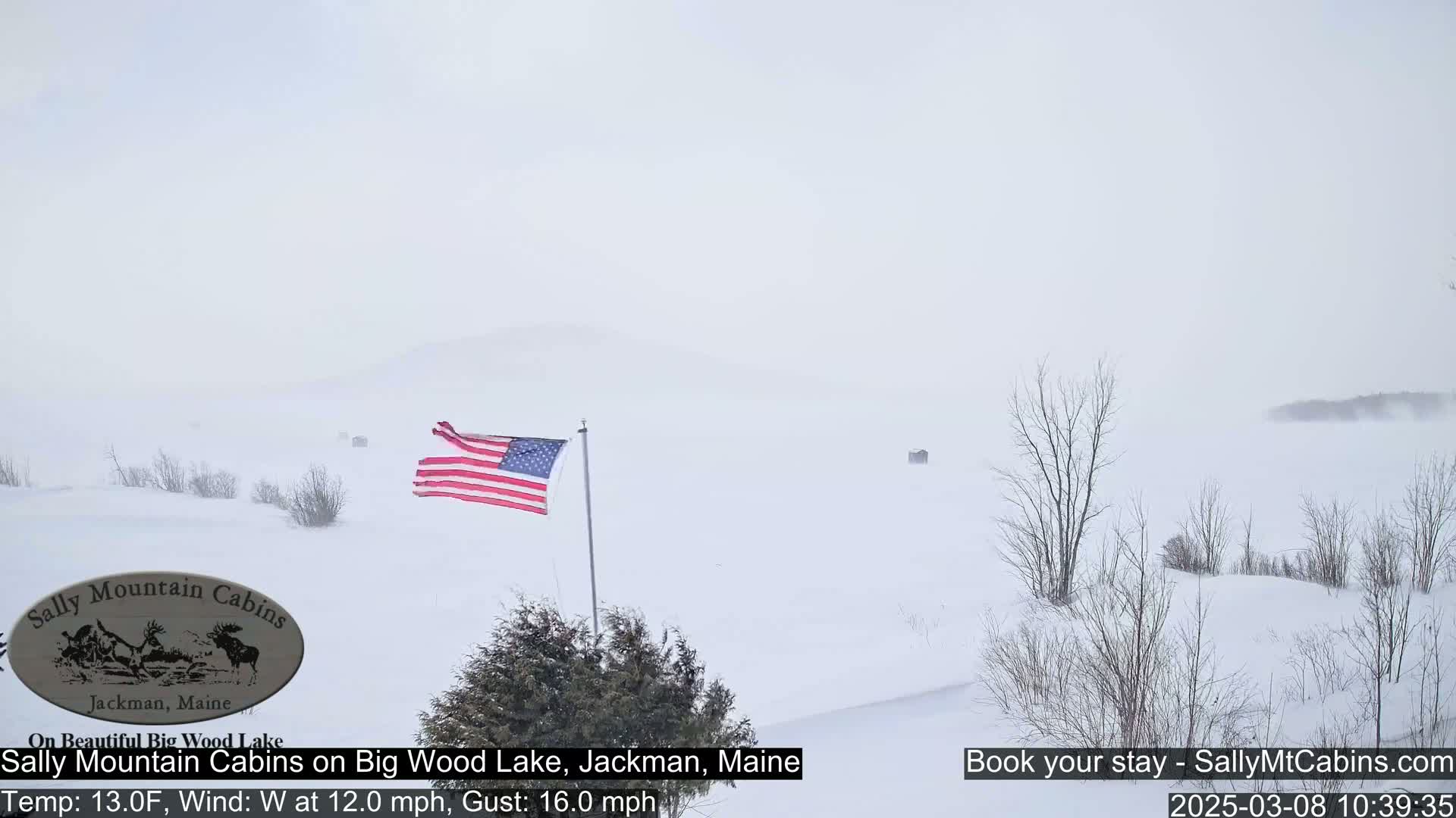 A snow-covered landscape with a partially obscured American flag, bare trees, and a distant shoreline is visible through heavy blowing snow.
