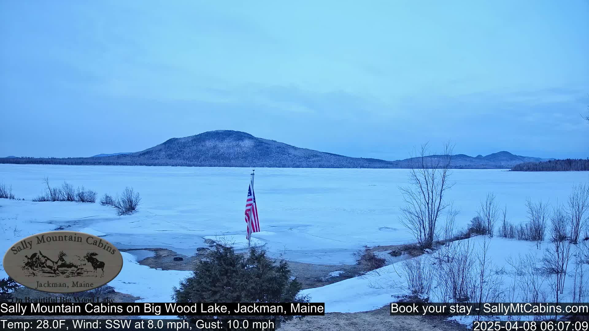 A partly frozen lake stretches to a snow-covered mountain under a pale blue sky.