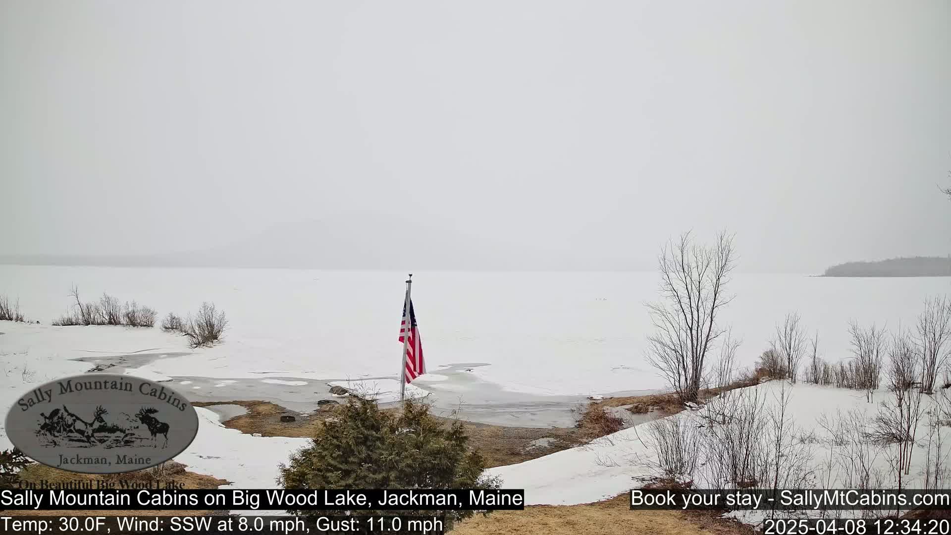 A snow-covered shoreline with a partially frozen lake stretches into a hazy, snowy distance under a gray sky, and an American flag stands on a pole nearby.