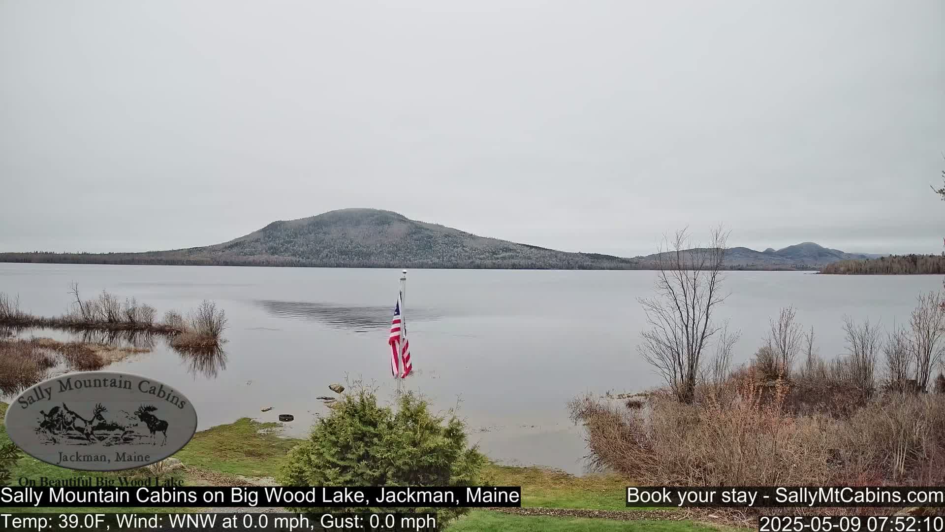 A partially flooded lakeshore shows an American flag planted near the water's edge, with a snow-dusted mountain in the background under an overcast sky.