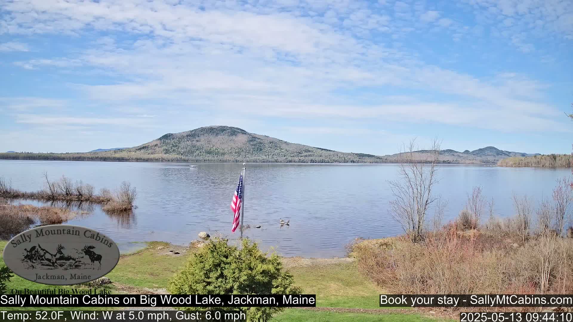 A calm, partly cloudy day shows a view of a lake with a forested mountain in the background, an American flag planted near the shore, and some birds in the water.