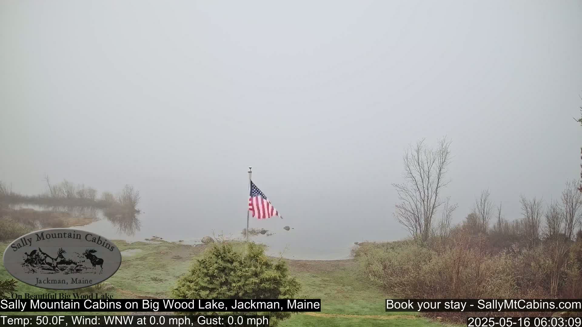 A mostly calm, foggy lake scene is visible, featuring an American flag on a pole near the shoreline, with sparse vegetation in the foreground.