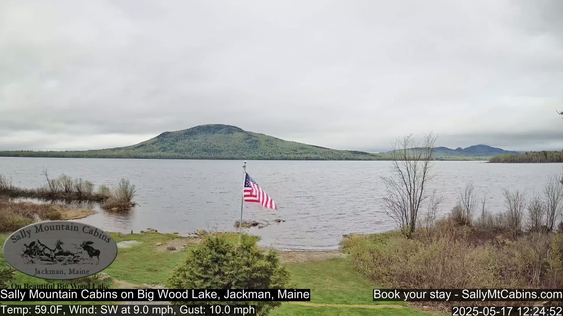 A calm lake with a forested hill in the background under an overcast sky, and an American flag standing near the lakeshore.