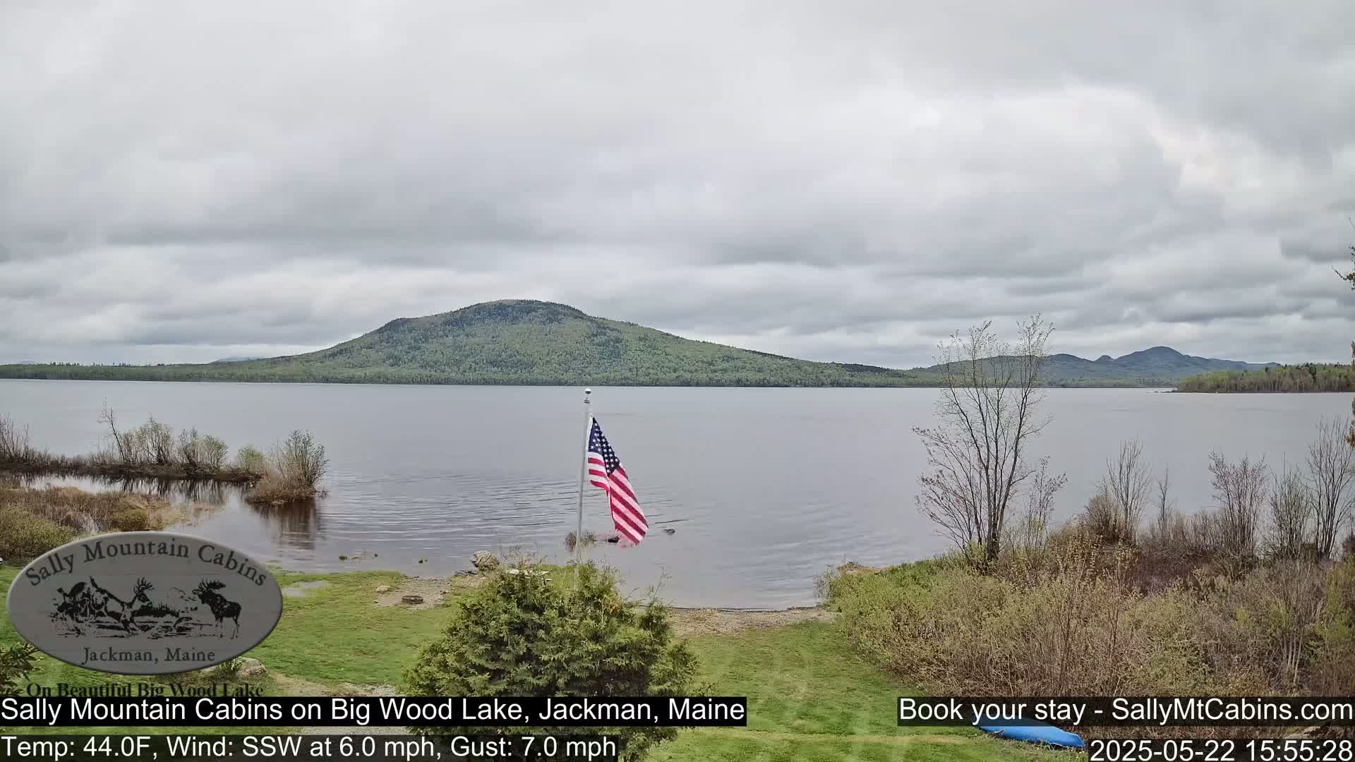 A calm lake with a forested hill in the background under an overcast sky, and an American flag planted near the shoreline.