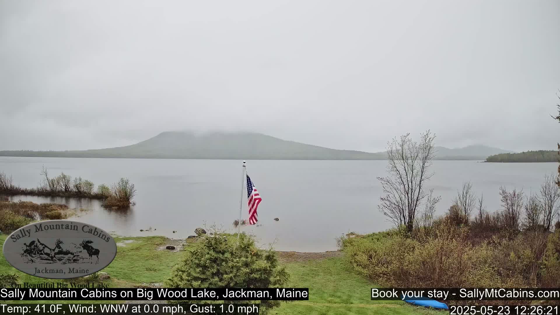A calm lake under an overcast sky is seen from a lakeside vantage point, with an American flag planted near the shoreline and low-lying vegetation in the foreground.