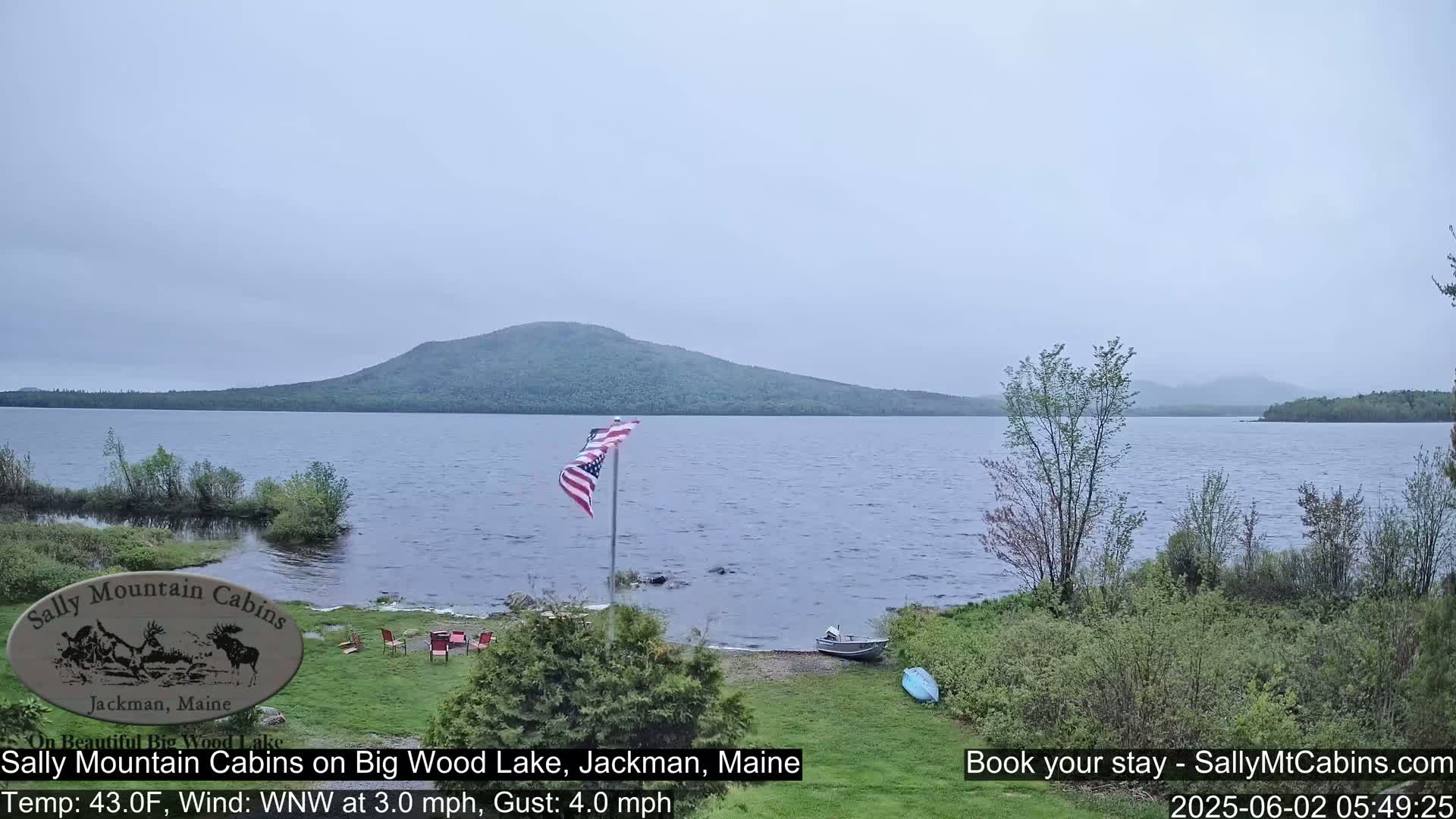 A calm lake with a gently sloping shoreline, a small American flag waving, and a few trees under an overcast sky.