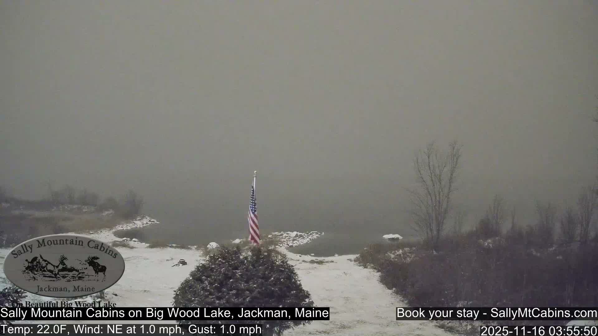 A serene winter landscape unfolds under a dense fog, with a placid lake surrounded by snow-dusted ground and bare trees, and an American flag hanging still, suggesting a calm, cold, and heavily overcast day.