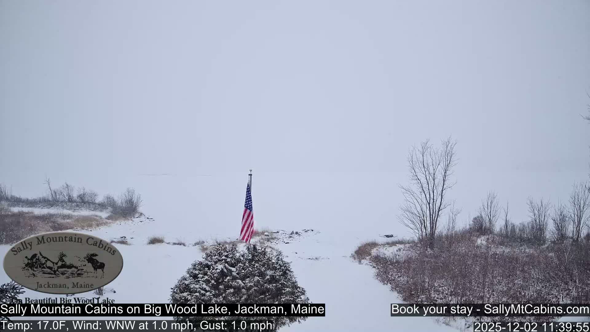 An American flag flies above a snow-covered winter landscape, featuring bare trees and shrubs bordering a vast, hazy, frozen lake under an overcast sky.