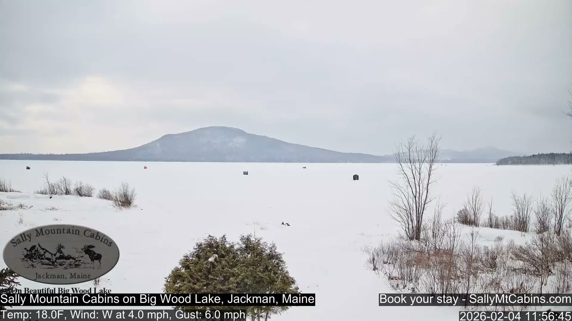 Sally Mountain Cabins , Live Cam - Jackman, Maine, USA