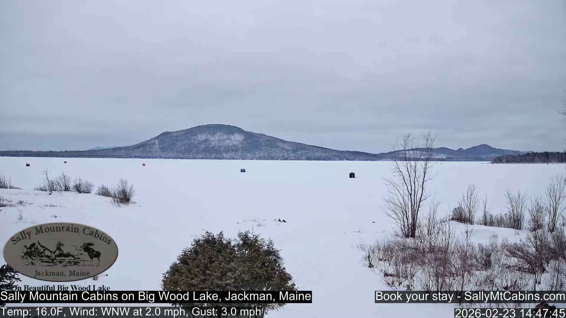 Sally Mountain Cabins , Live Cam - Jackman, Maine, USA