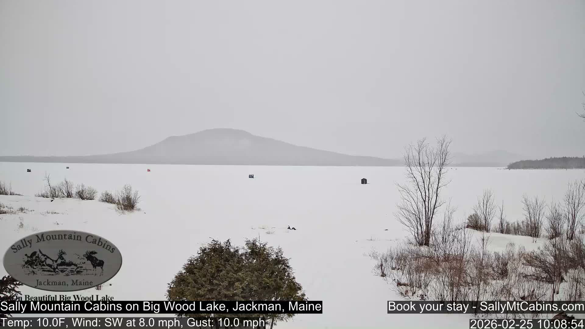 Sally Mountain Cabins , Live Cam - Jackman, Maine, USA