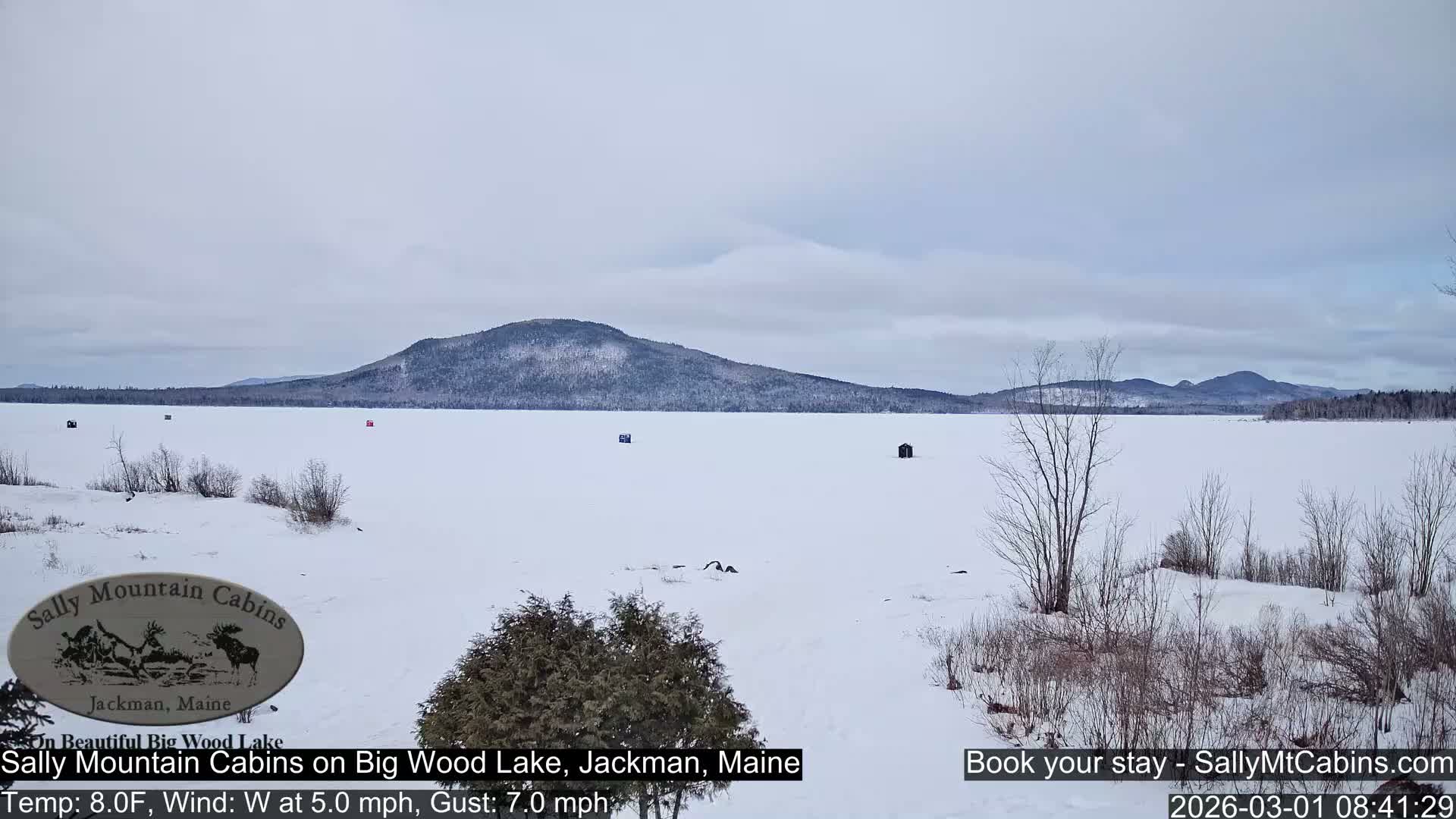 Sally Mountain Cabins , Live Cam - Jackman, Maine, USA