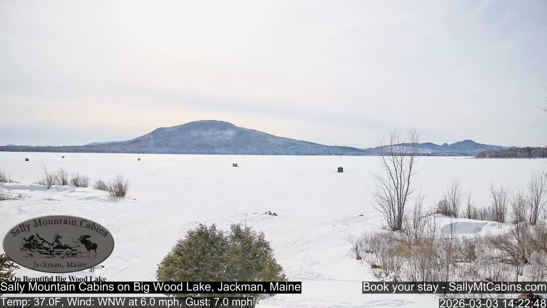 Sally Mountain Cabins , Live Cam - Jackman, Maine, USA