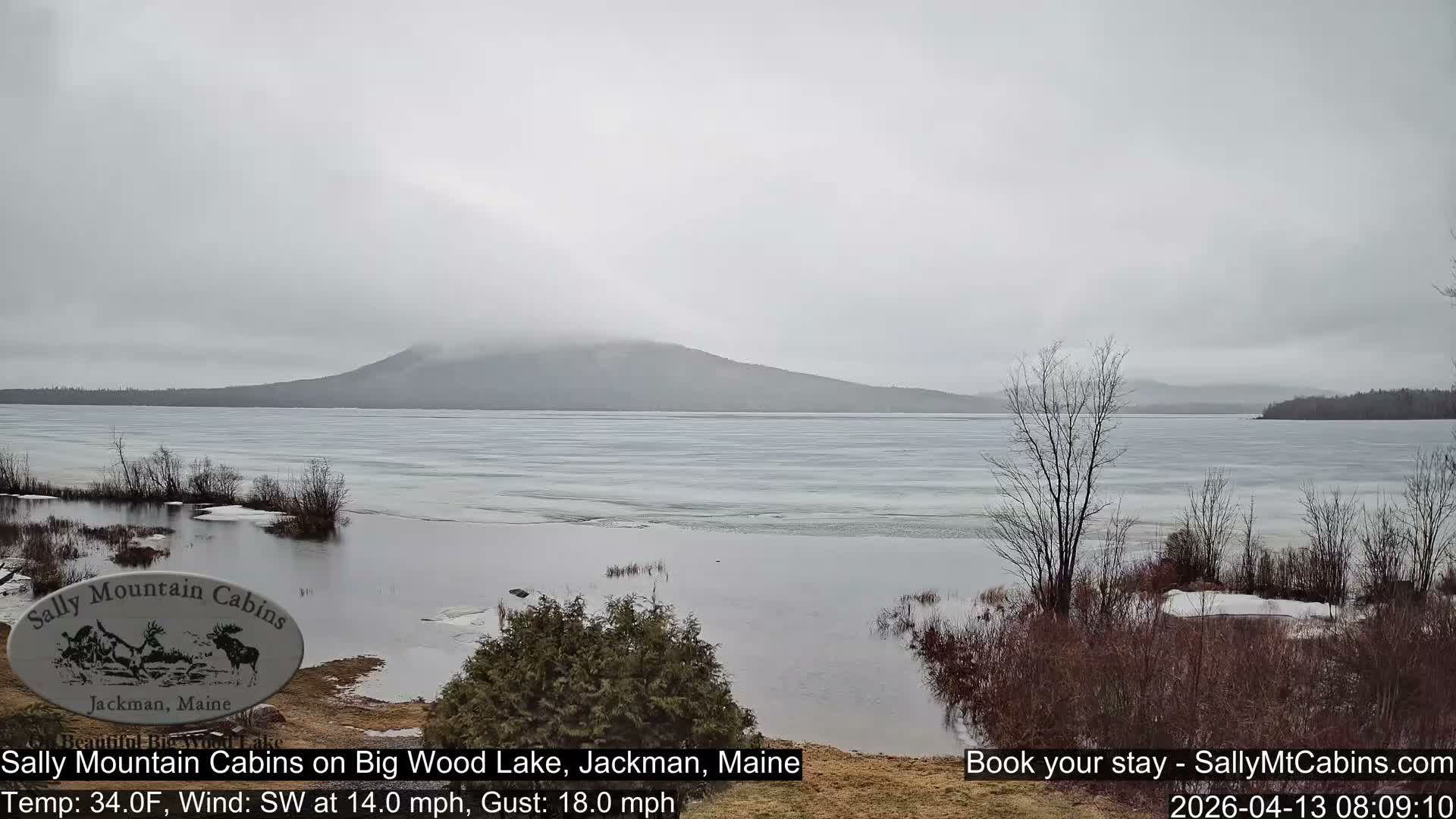 A wide, wintry scene shows an American flag planted on a snow-covered bank beside a partially frozen lake, with dark, tree-covered mountains lining the horizon under a dull, overcast sky.