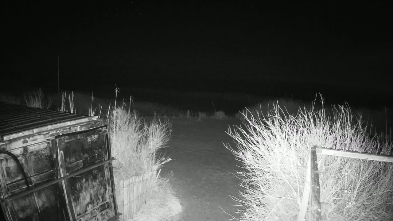 A dark, nighttime scene shows a large metal container next to a dirt path bordered by shrubs and a short fence.