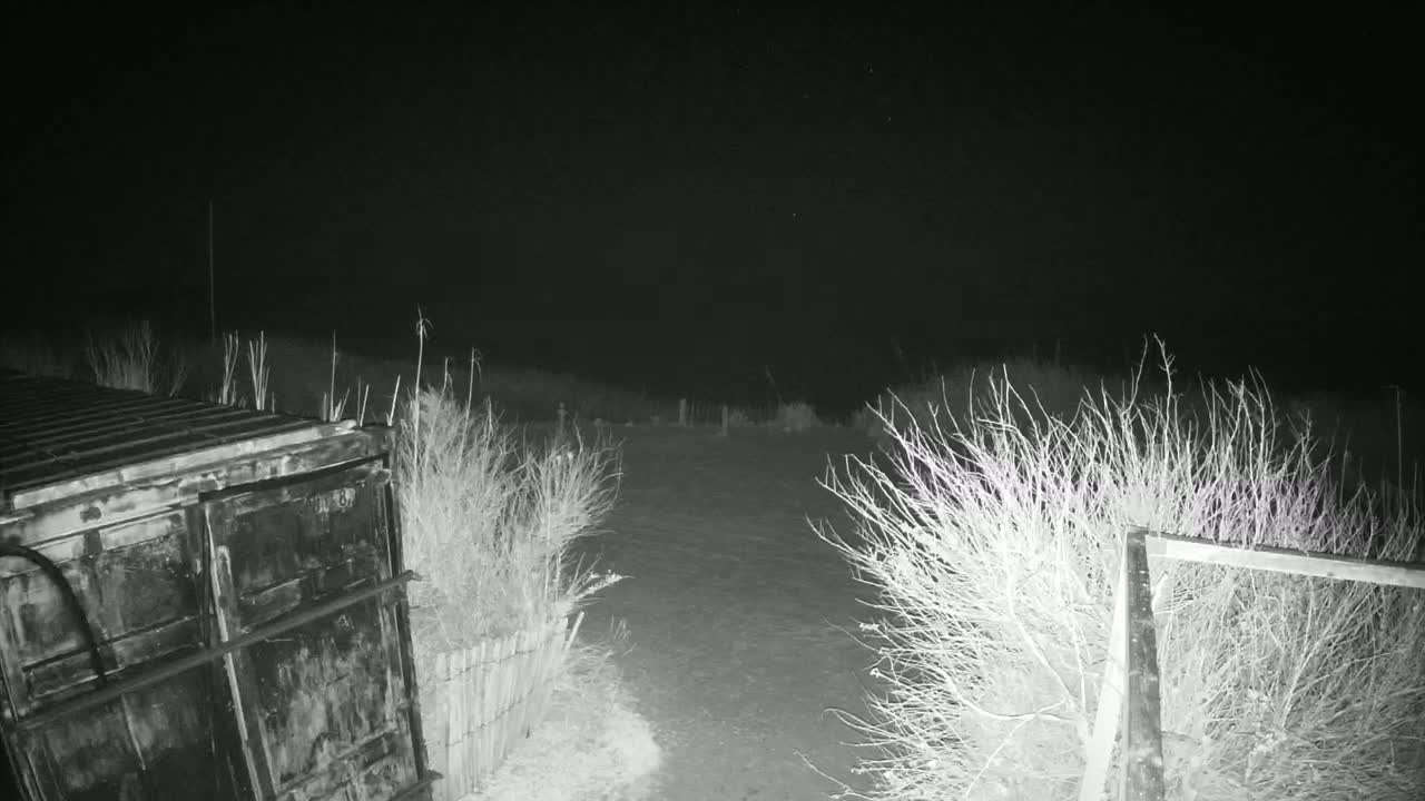 A dark, nighttime scene shows a metal container next to a dirt path bordered by bare, winter bushes and a section of fence.