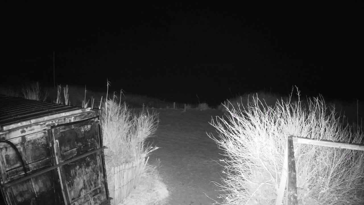 A dark, nighttime scene shows a metal container next to a small fence, with bare bushes and a dirt path leading into the darkness.