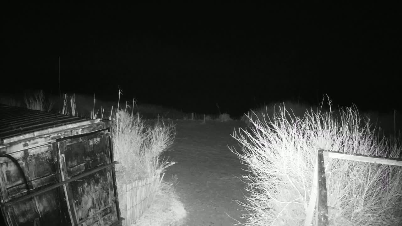 A dark, nighttime scene shows a metal container and a dirt path flanked by bare shrubs and a section of wooden fencing.