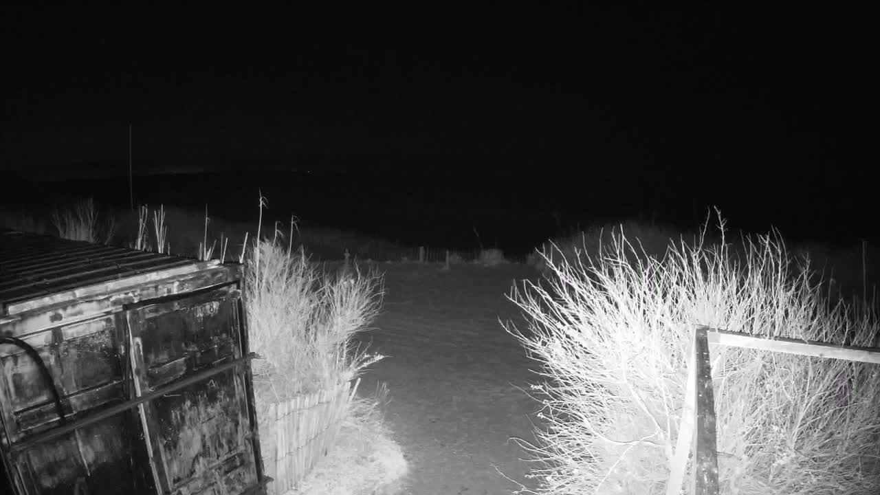 A dark, nighttime scene shows a metal container next to a fence, with bare bushes and a dirt path leading to a distant, dark horizon.