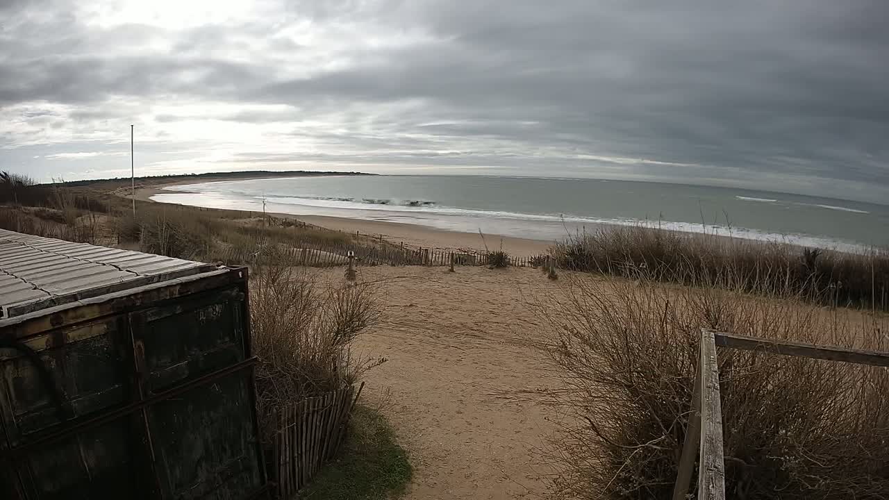 A dark green shipping container sits on a sandy dune overlooking a beach with gentle waves under a cloudy sky.