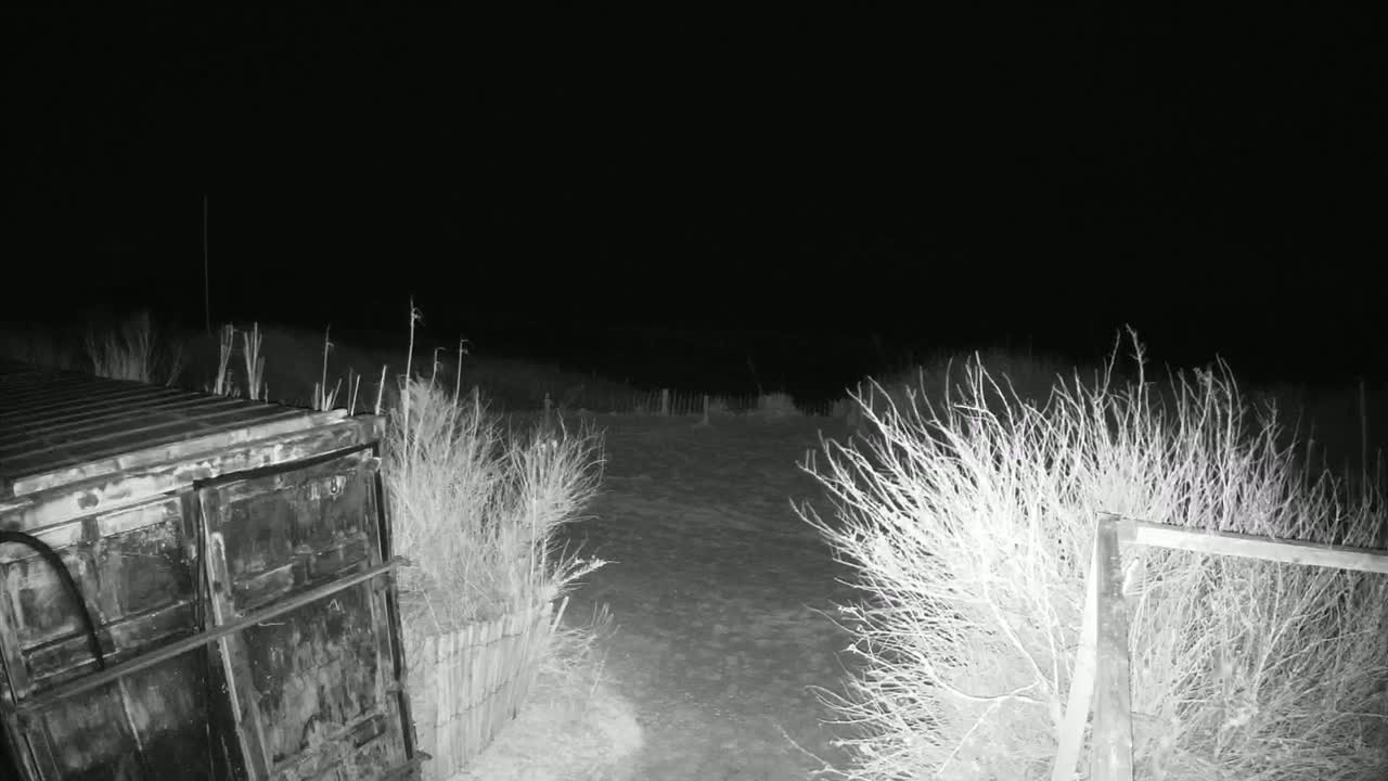 A dark, nighttime scene shows a metal container and bare bushes flanking a snow-covered, open area.