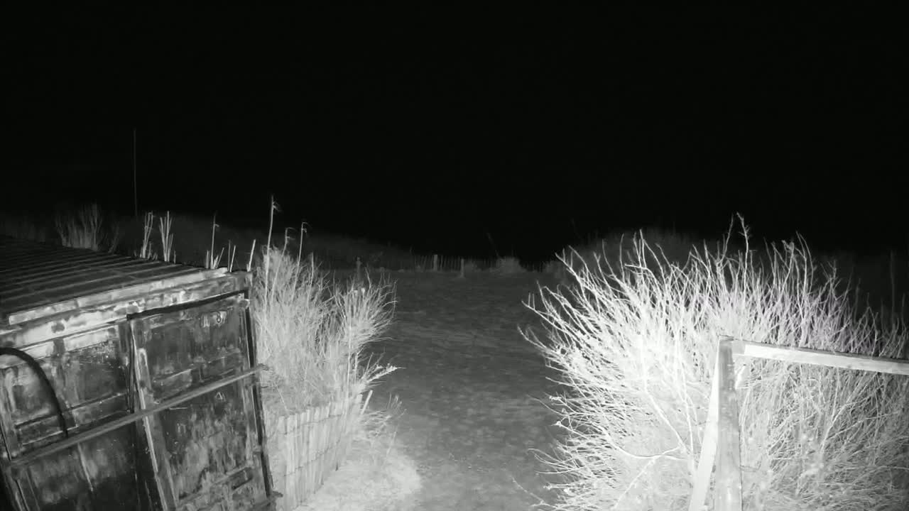 A dark gray metal shipping container sits next to a short fence bordering a snow-covered area at night.