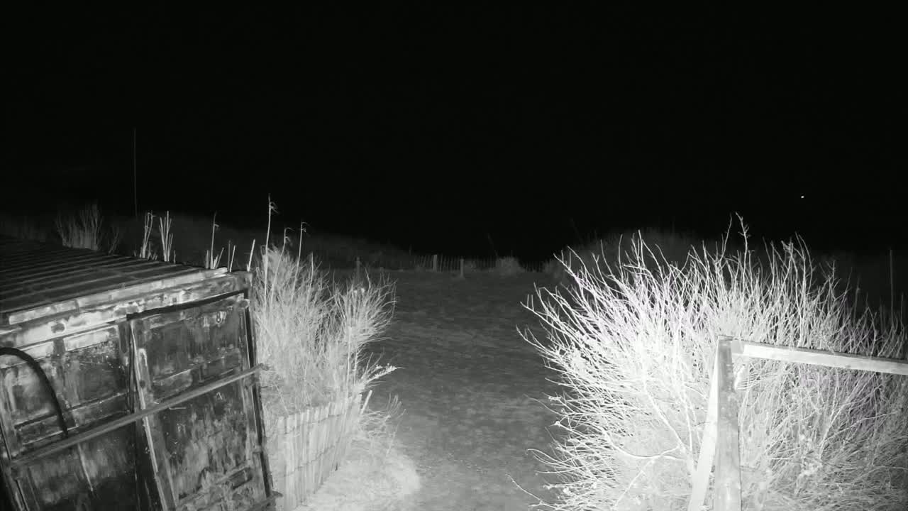 A dark, nighttime scene shows a metal container partially visible behind sparse, dry brush, with a short fence and a bare dirt path extending into the distance under a clear sky.