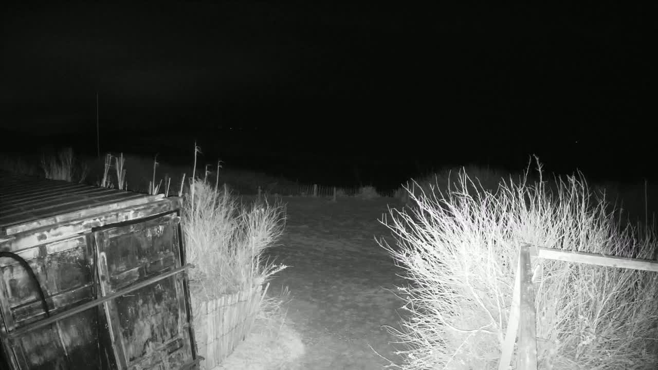 A large, dark metal container sits near a snow-covered area surrounded by bare bushes at night.