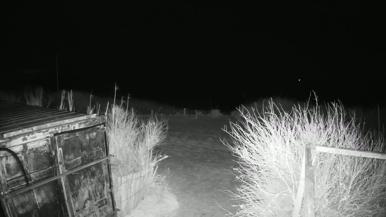 Saint-Denis-d'Oleron  Plage des Huttes Surf Beach Live Cam  - Rochefort, Charente-Maritime, Nouvelle-Aquitaine, France 