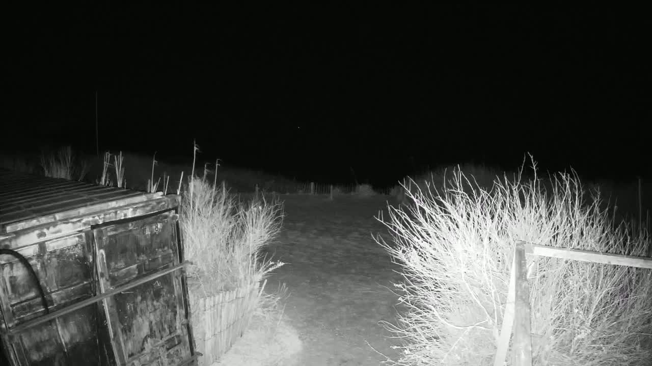 Saint-Denis-d'Oleron  Plage des Huttes Surf Beach Live Cam  - Rochefort, Charente-Maritime, Nouvelle-Aquitaine, France 