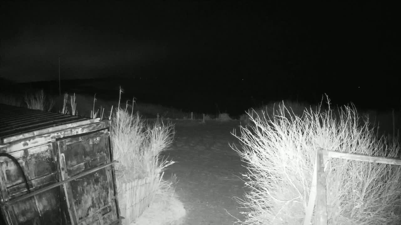 Saint-Denis-d'Oleron  Plage des Huttes Surf Beach Live Cam  - Rochefort, Charente-Maritime, Nouvelle-Aquitaine, France 