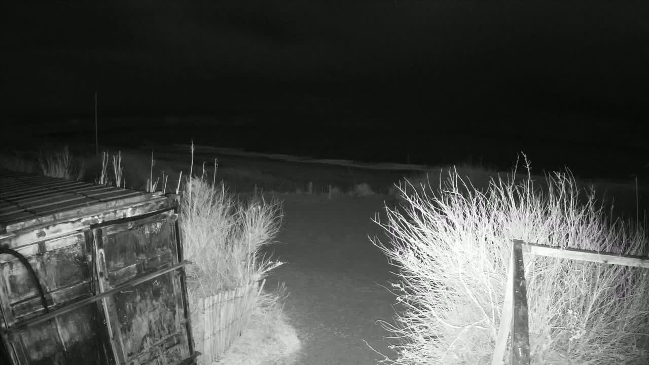 A dark, nighttime scene shows a large metal container near a path leading to a beach under a cloudy sky.