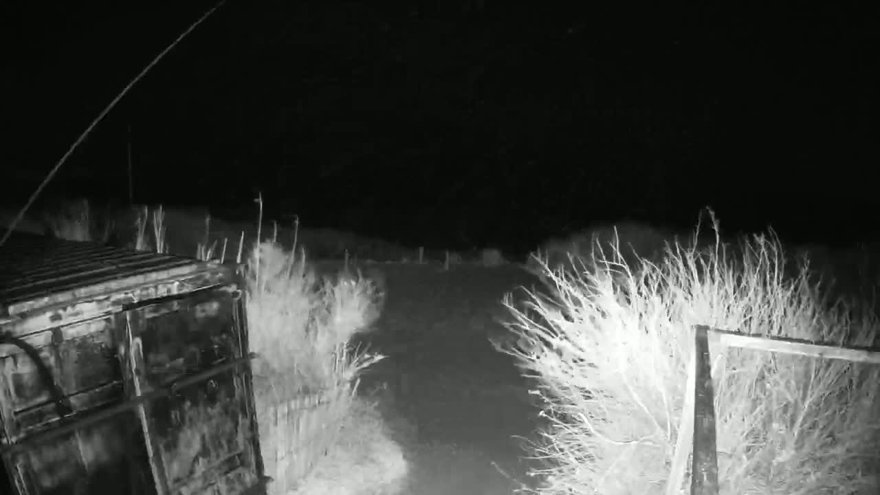 A dark, nighttime scene shows a large metal container next to some brush and a partially visible gate.