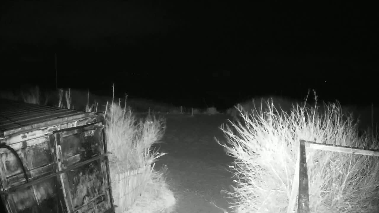A nighttime, monochrome image shows a large metal container partially obscured by shrubs next to a gate leading to a dirt path.