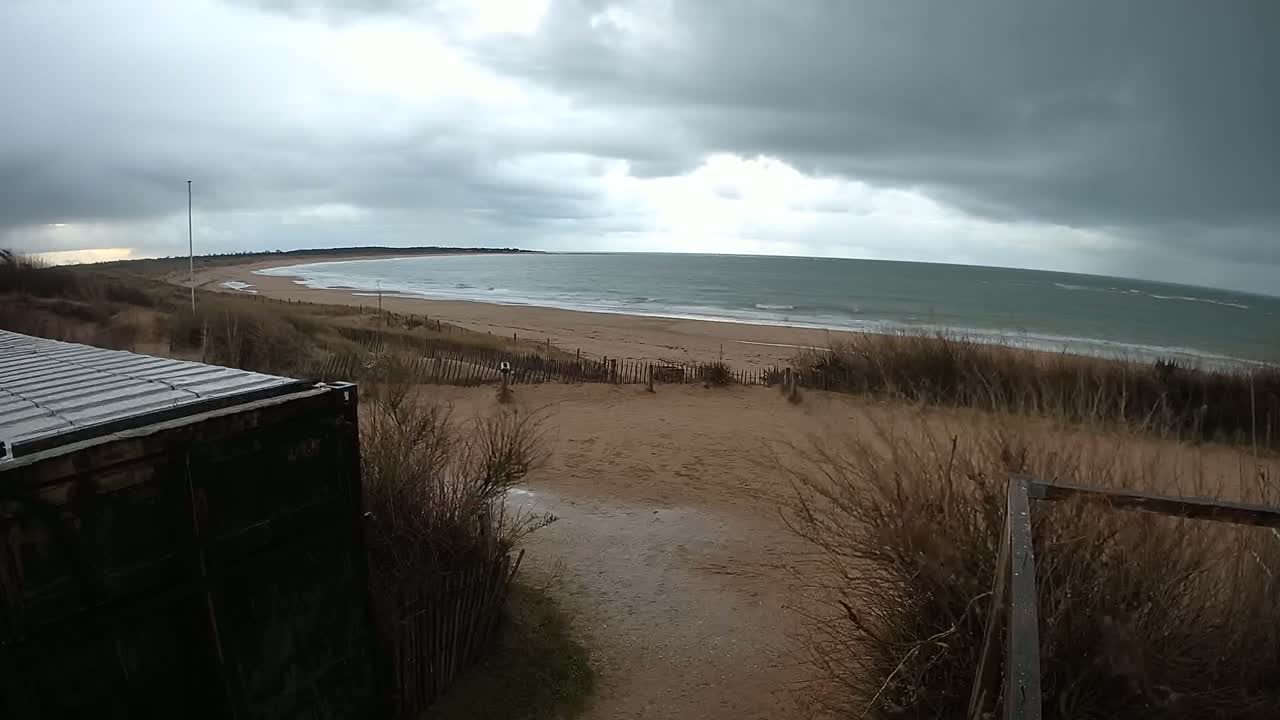 A dark gray, cloudy sky overlooks a sandy beach with small waves and a section of scrubby vegetation separating the beach from a dark-colored container.