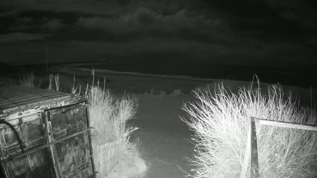 A dark, nighttime scene shows a metal container near a path leading to a beach under a cloudy sky.