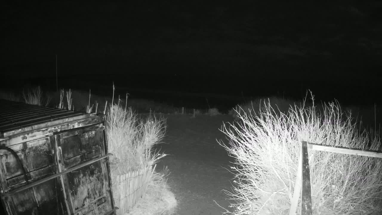 A dark, nighttime scene shows a large metal container next to a dirt path bordered by sparse, leafless shrubs and a section of wooden fencing under a mostly clear sky.