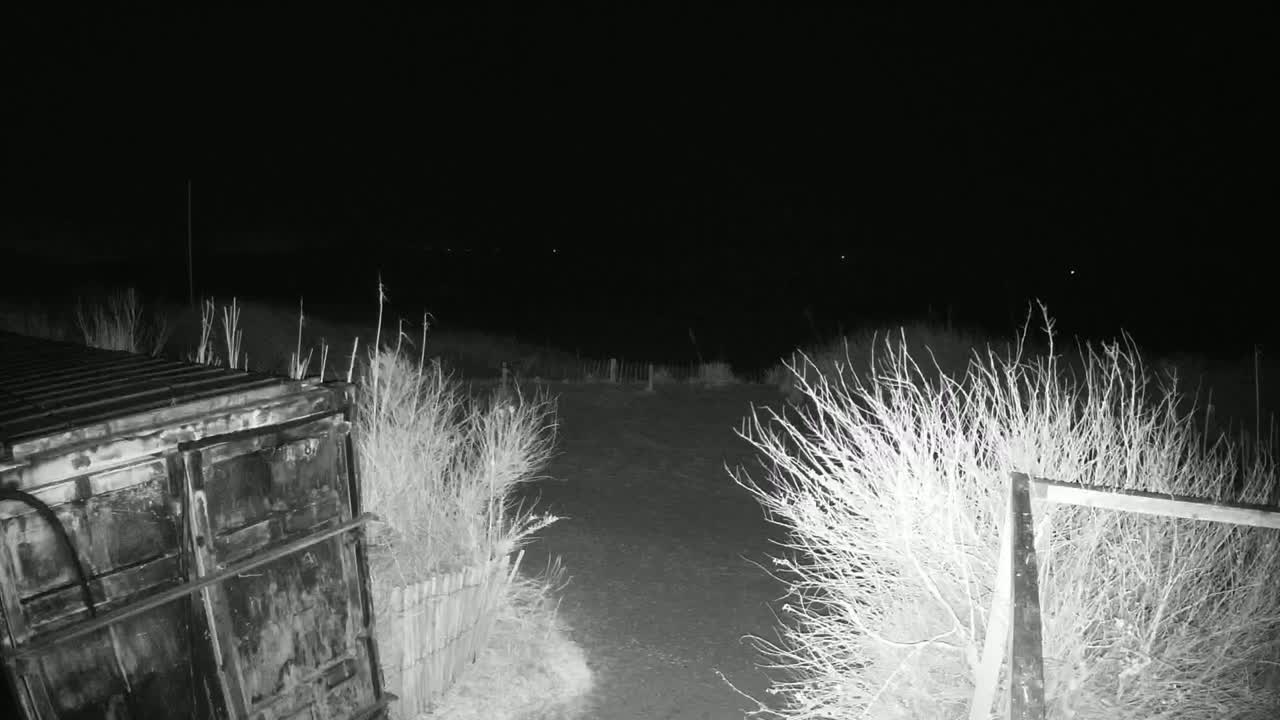 A dark, nighttime scene shows a section of a metal container partially visible behind brush and a small section of a fence on the right.