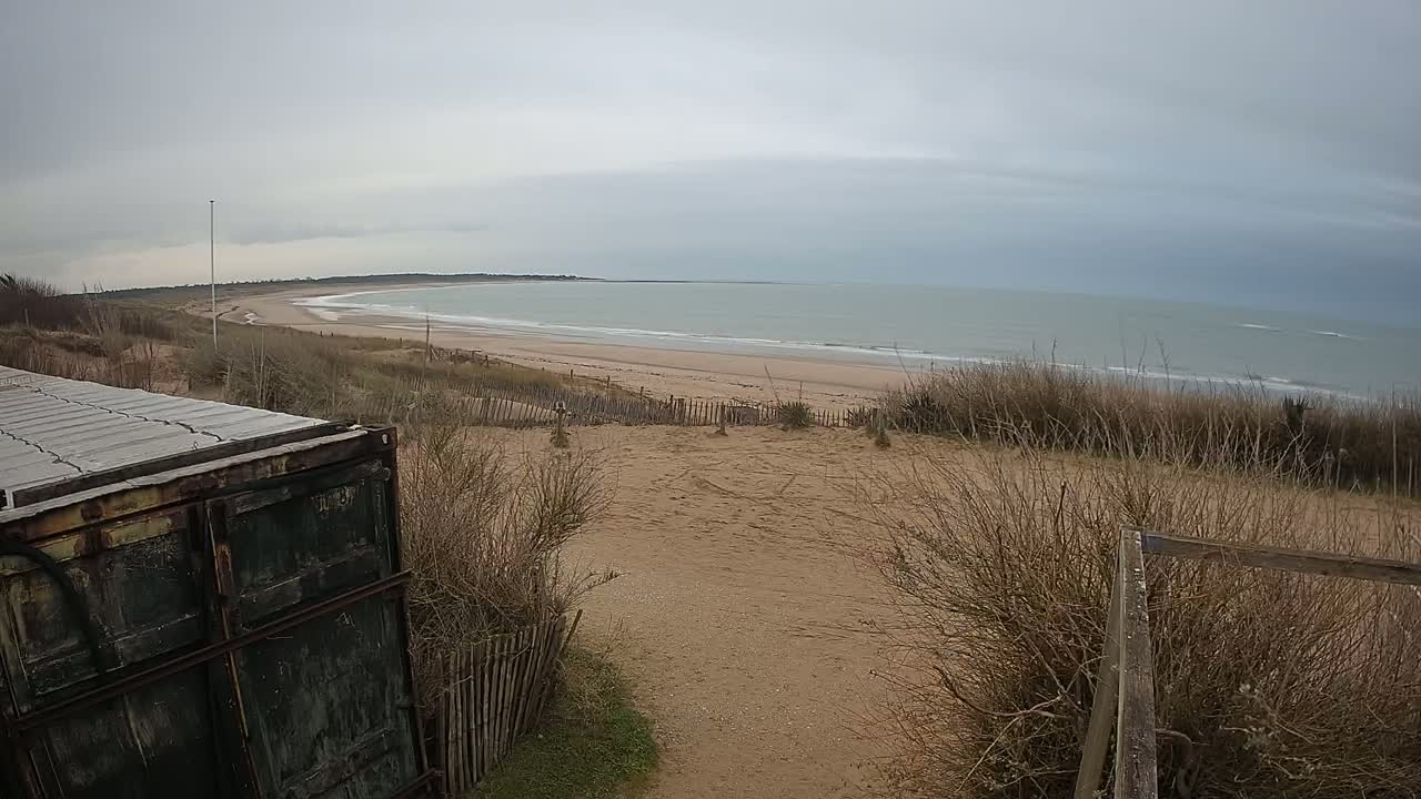 A view from a dune overlooking a calm, gray ocean and sandy beach on an overcast day, with a weathered metal container in the foreground.