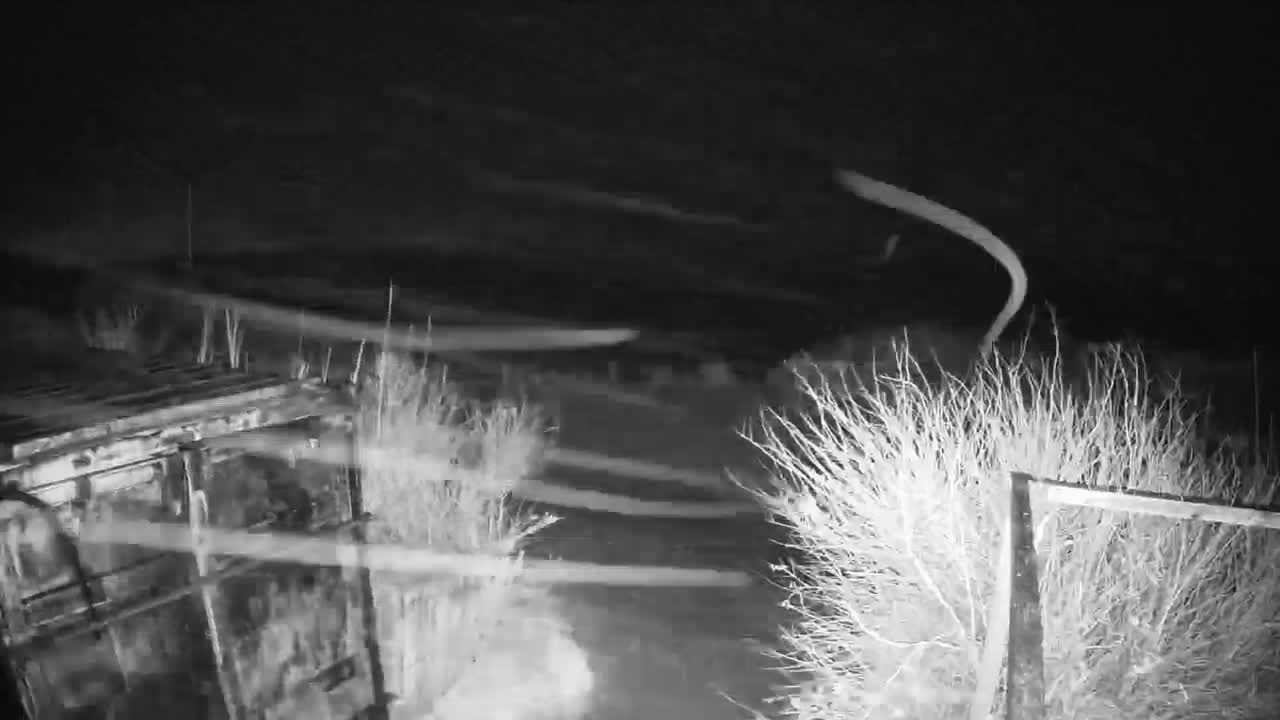 A nighttime, low-light image shows blowing snow swirling around a dark metal structure and sparse shrubs near a fence.