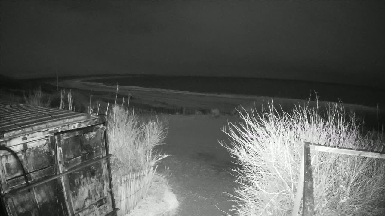 A dark, nighttime scene shows a metal container next to a path leading to a beach and ocean under a mostly clear sky.