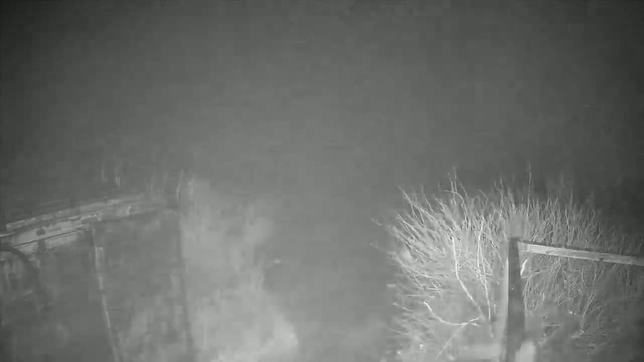 A nighttime, foggy view shows parts of two wooden structures partially obscured by brush and fog.