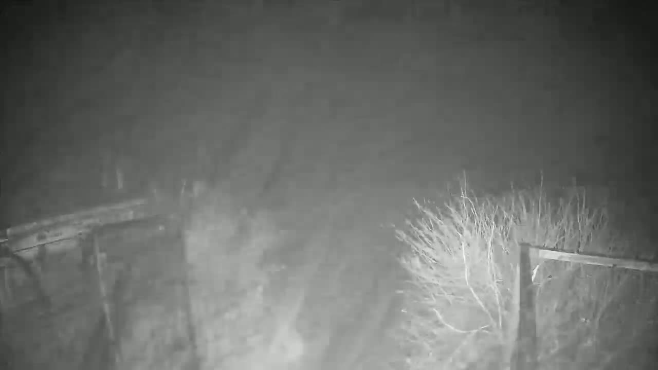 A nighttime, blurry image shows what appears to be a wooden structure or fence partially obscured by fog or mist.