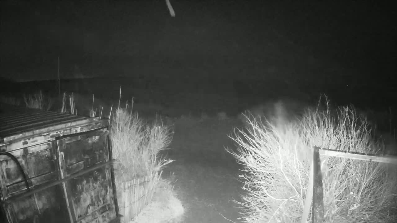 A dark, nighttime scene shows a large metal container next to bare, wintry shrubs and a fence, with a faint light streak in the sky.